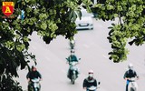 [ẢNH] Hà Nội nồng nàn hương hoa sữa